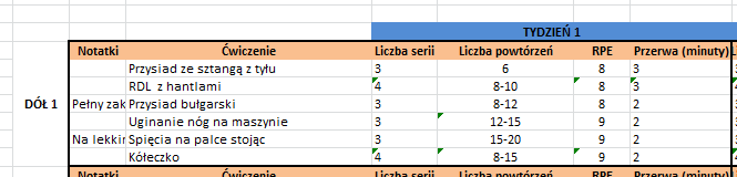 plan_treningowy